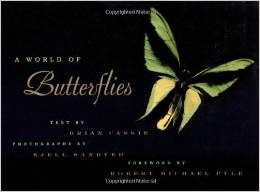 A World of Butterflies